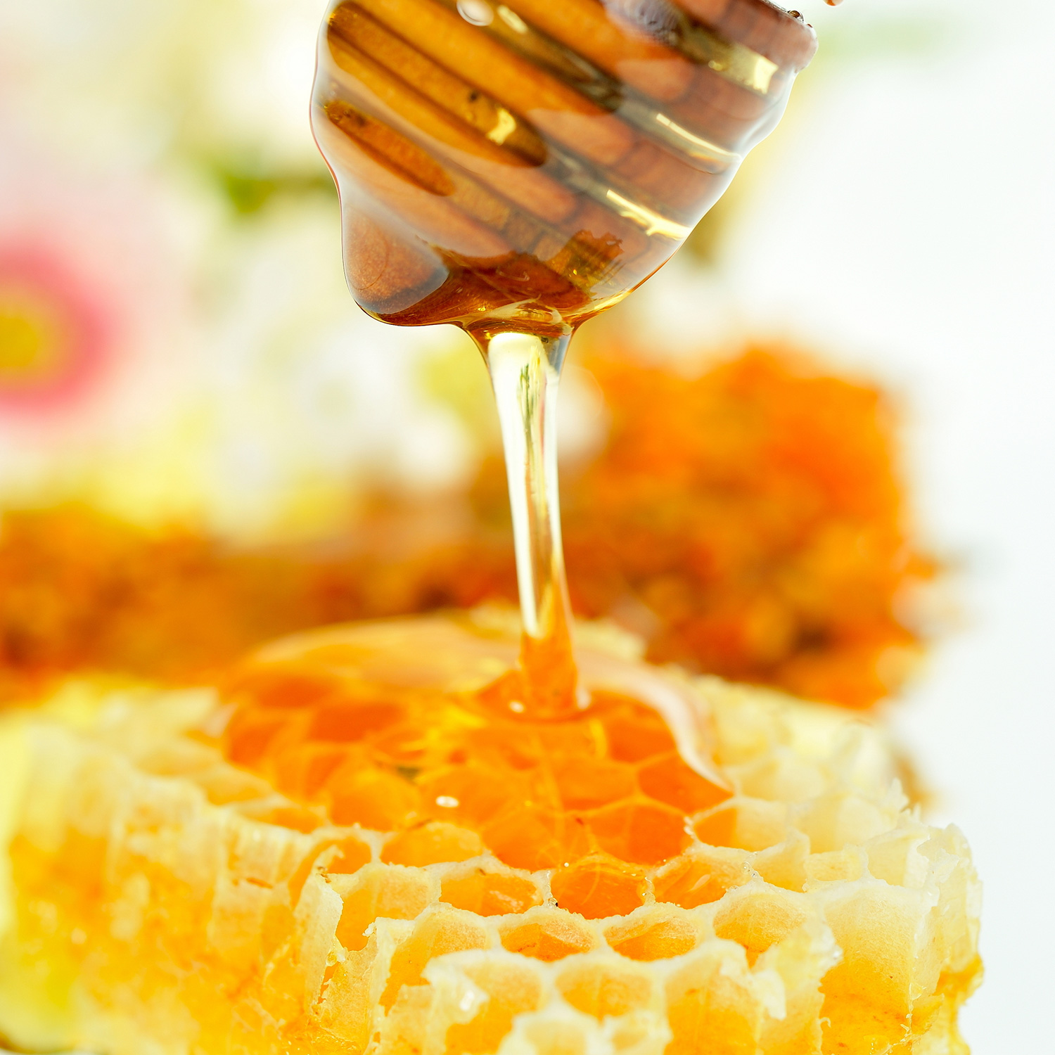 طرق التعرف على العسل الاصلي
